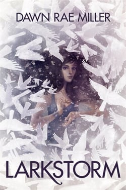 Larkstorm - The Dark Witch Chronicles