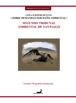 Línea jurisprudencial sobre demandas por daño ambiental - Segundo Tribunal Ambienal de Santiago