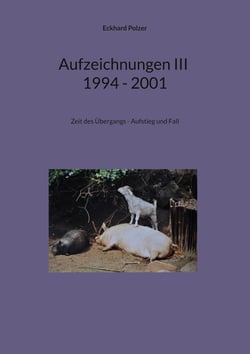 Aufzeichnungen III; 1994 - 2001 - Zeit des Übergangs - Aufstieg und Fall