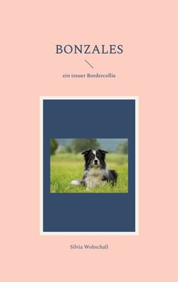 Bonzales - ein treuer Bordercollie