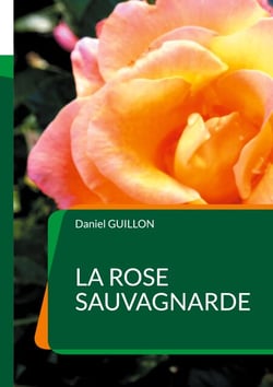 La Rose sauvagnarde - Faits divers en Forez