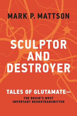 Sculptor and Destroyer - Tales of Glutamatethe Brain's Most Important Neurotransmitter
