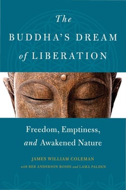 The Buddha's Dream of Liberation - Freedom, Emptiness, and Awakened Nature
