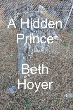 A Hidden Prince - Kingdom of Vineland, #2