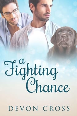 A Fighting Chance - Wild Heart, #1