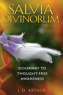 Salvia Divinorum - Doorway to Thought-Free Awareness