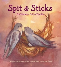 Spit &amp; Sticks - A Chimney Full of Swifts