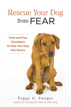 Rescue Your Dog from Fear - Tried-and-True Techniques to Help Your Dog Feel Secure