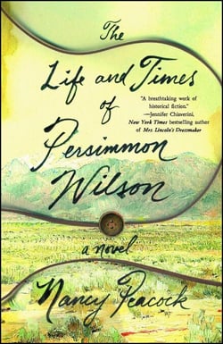 The Life and Times of Persimmon Wilson - A Novel