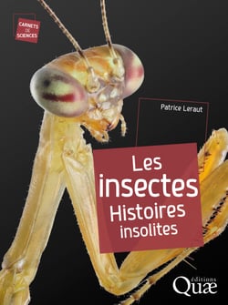 Les insectes - Histoires insolites