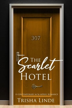 Room 307 - The Scarlet Hotel, #5