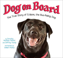Dog on Board - The True Story of Eclipse, the Bus-Riding Dog