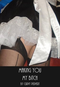 Making You My Bitch - Slaves and Strapons, #1