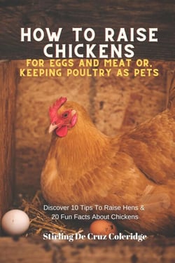 How To Raise Backyard Chickens For Eggs And Meat Or, Keeping Poultry As Pets Discover 10 Quick Tips On Raising Hens And 20 Fun Facts About Chickens - Raising Chickens