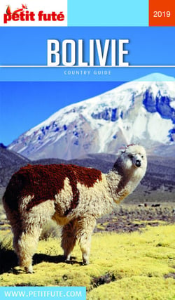 BOLIVIE 2019/2020 Petit Futé