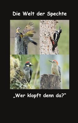 Die Welt der Spechte - "Wer klopft denn da?"