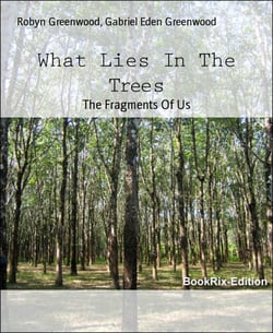 What Lies In The Trees - The Fragments Of Us