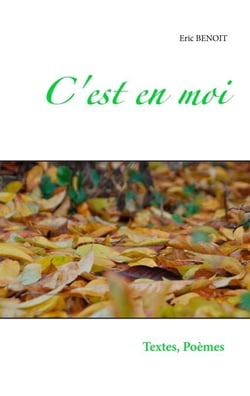 C'est en moi - Textes et poèmes d'une balade dans la vie, de tous les jours, de toutes mes nuits. Tendres, cruelles, douces ou acides.