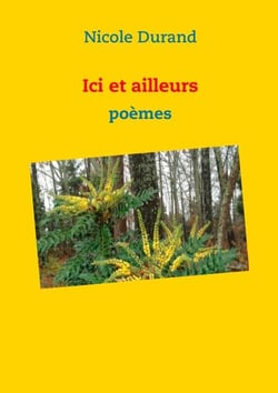 Ici et ailleurs - Poèmes