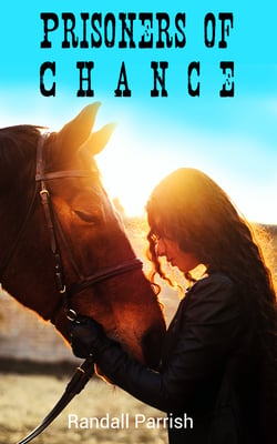 Prisoners of Chance - Romance Novel
