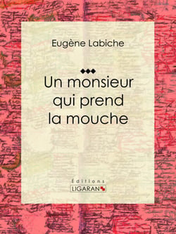 Un monsieur qui prend la mouche - Pièce de théâtre comique