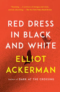 Red Dress in Black and White - A novel