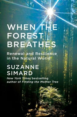 When the Forest Breathes - Renewal and Resilience in the Natural World