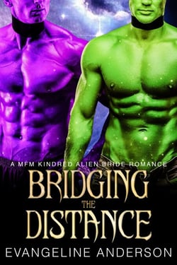 Bridging the Distance...Book 6 in the Kindred Tales Series - Kindred on Their Knees, #2