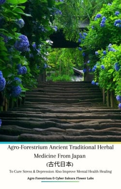 Agro-Forestrium Ancient Traditional Herbal Medicine from Japan (????) To Cure Stress &amp; Depression Also Improve Mental Health Healing