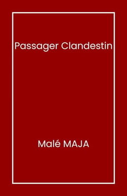 Passager clandestin