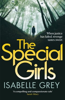 The Special Girls - A devastating crime thriller with a heart-wrenching twist