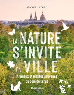 La nature s'invite en ville - Animaux et plantes sauvages du coin de la rue