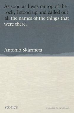 The Names of the Things That Were There - Stories