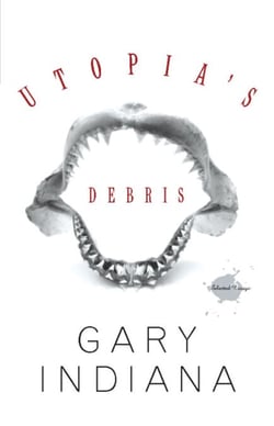 Utopia's Debris - Selected Essays