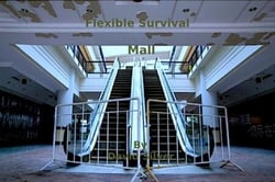 Flexible Survival - Mall - Flexible Survival, #5