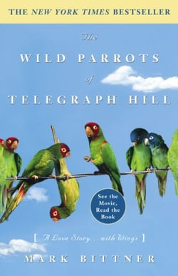 The Wild Parrots of Telegraph Hill - A Love Story . . . with Wings