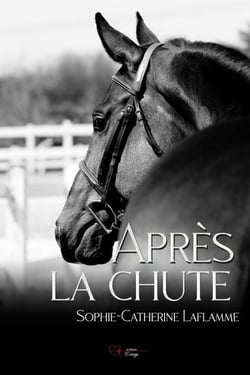 Après la chute