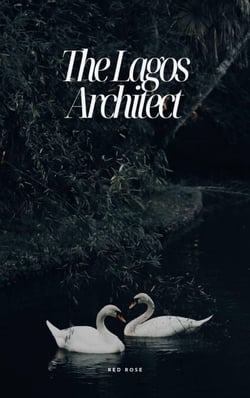 The Lagos Architect