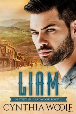 Liam - Destiny in Deadwood, #2