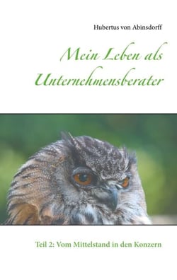 Mein Leben als Unternehmensberater - Teil 2: Vom Mittelstand in den Konzern