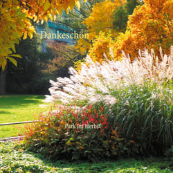 Dankeschön - Park im Herbst