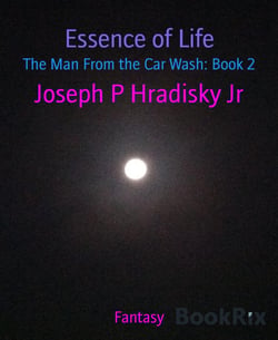 Essence of Life - The Man From the Car Wash: Book 2