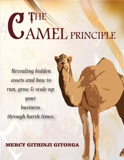 The Camel Principle - Revealing Hidden Assets &amp; How to Run, Grow &amp; Scale Up Your Business through Harsh Times