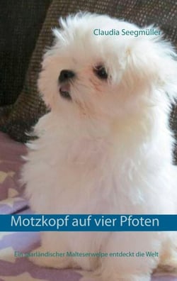 Motzkopf auf vier Pfoten - Ein saarländischer Malteserwelpe entdeckt die Welt