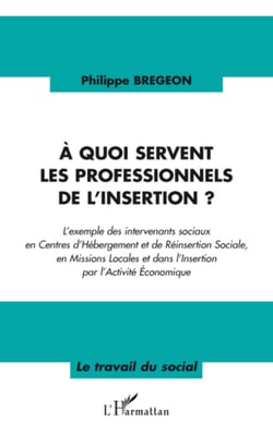 A quoi servent les professionnels de l'insertion ? - L'exemple des intervenants sociaux en Centres d'Hébergement et de Réinsertion Sociale, en Missions Locales et dans l'Insertion par l'Activité Economique