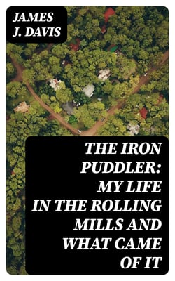 The Iron Puddler: My Life in the Rolling Mills and What Came of It