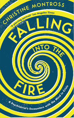 Falling into the Fire - A Psychiatrist's Encounters with the Mind in Crisis