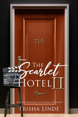Room 710 - The Scarlet Hotel, #15