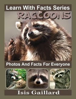 Raccoons Photos and Facts for Everyone - Learn With Facts Series, #92