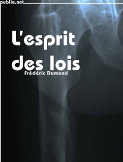 L’Esprit des lois - fichiers EDVIGE, lois sur l’immigration, lois sur la télévision et les radios libres : et ne concernerait pas la langue ?